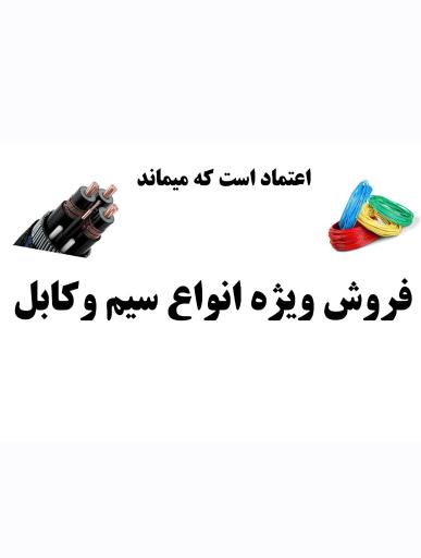 عکس الکتریکی پیشگام 