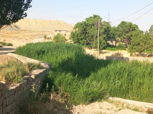 عکس دخان