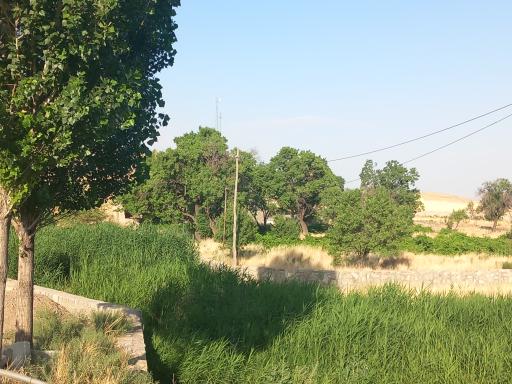 دخان
