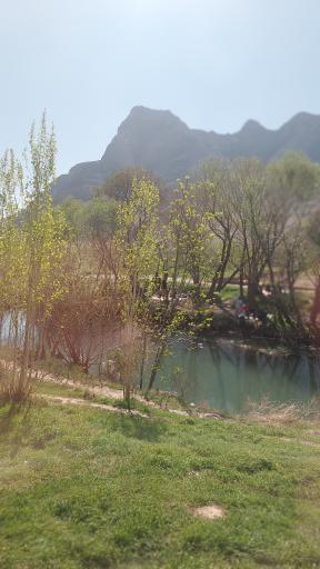 عکس جزنق