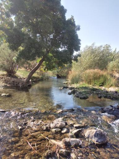 عکس جزنق