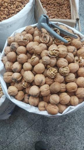 عکس خشکبار صالح