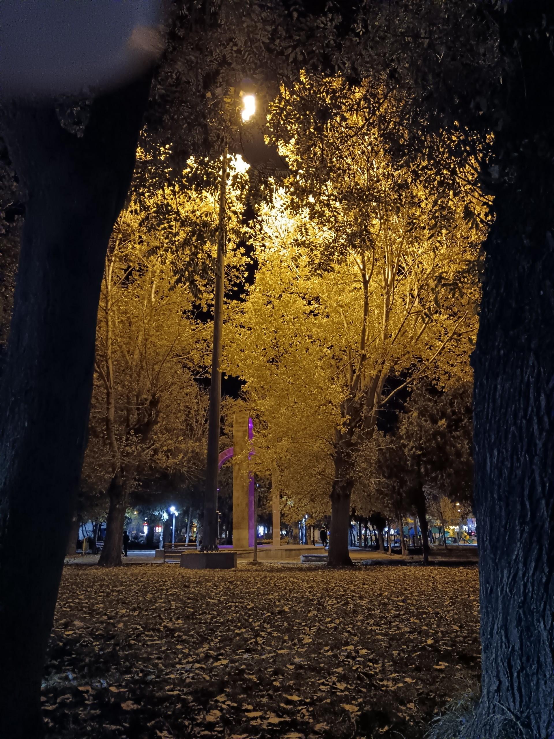 عکس پارک پانزده خرداد