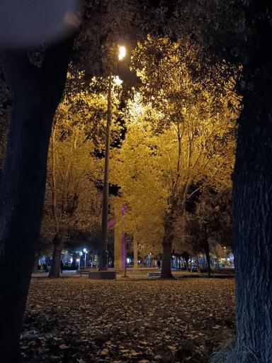 عکس پارک پانزده خرداد