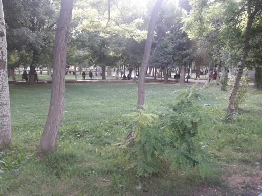 عکس پارک پانزده خرداد