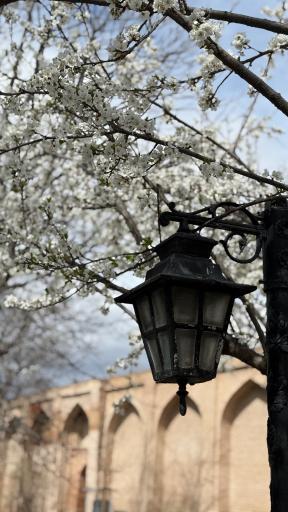 عکس بقعه شیخ صفی الدین اردبیلی