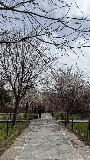 عکس بقعه شیخ صفی الدین اردبیلی