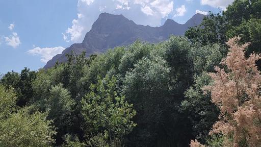 عکس جزنق