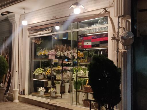 عکس گل سایان