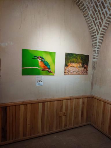 عکس حمام تاریخی جلفا