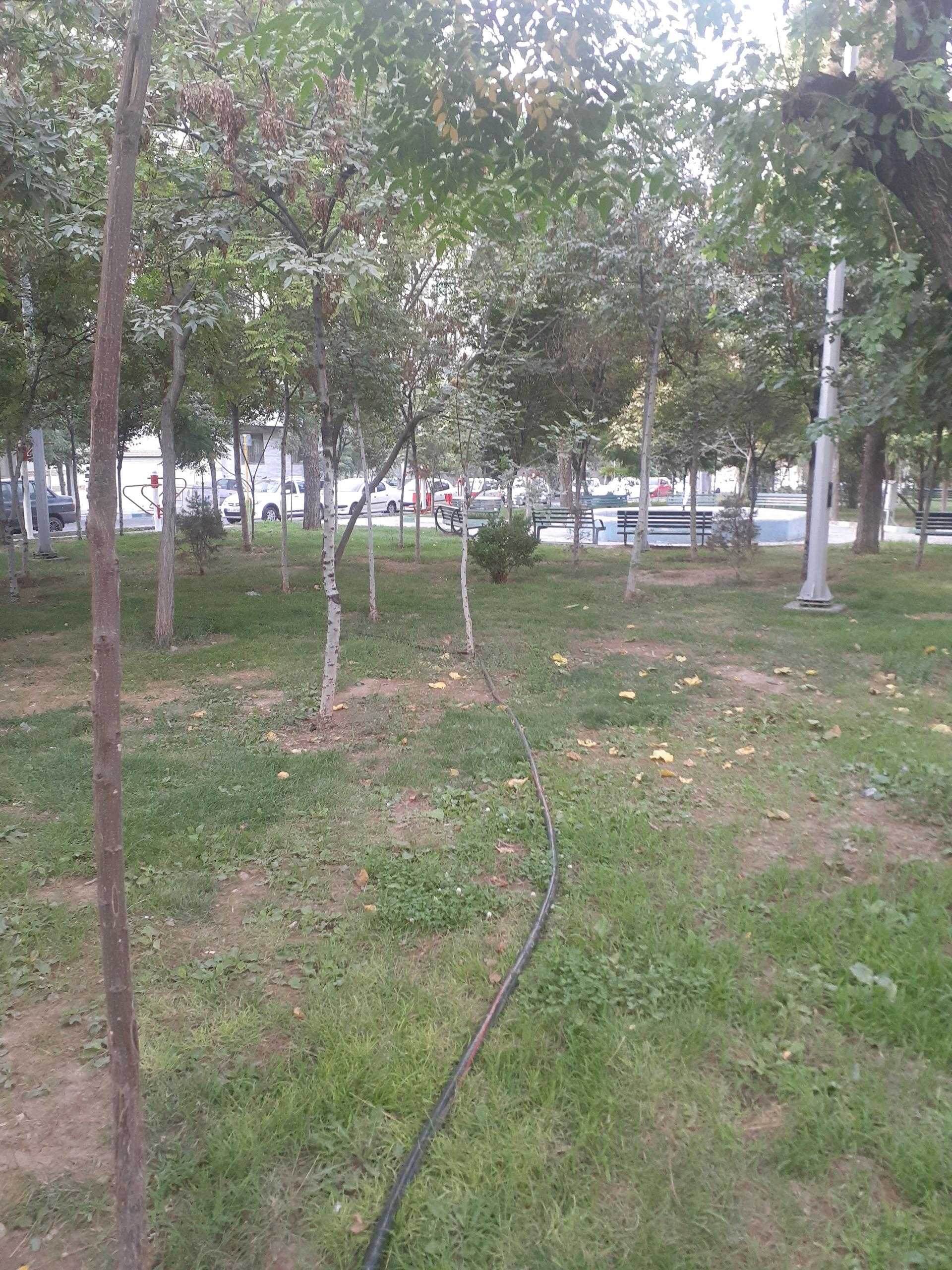 عکس میدان هفتم