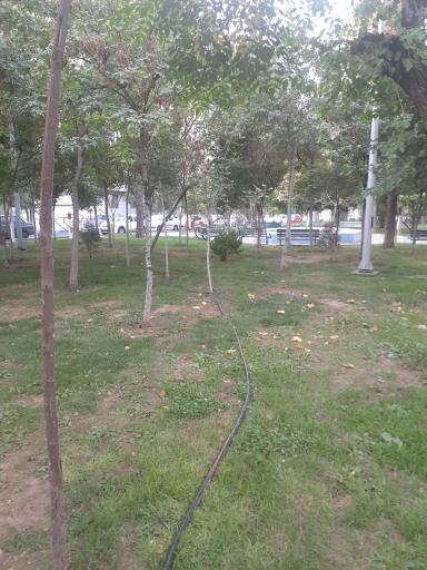 عکس میدان هفتم