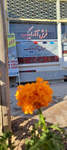 عکس آذرایپک 