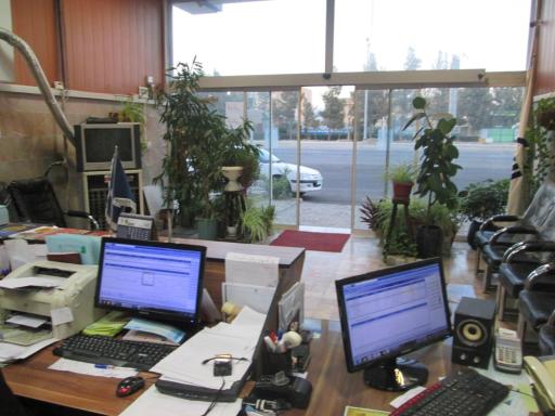 عکس بیمه آسیا رمضانی 