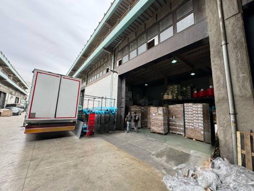 عکس پیمتاش کالا