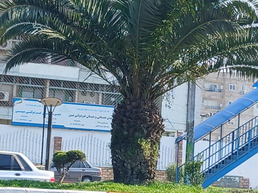 عکس پیش دبستانی، و دبیرستان مبین