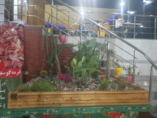 عکس فست فود کاکتوس