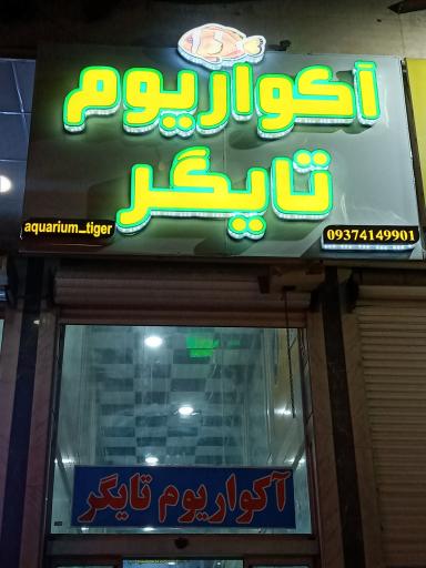 عکس آکواریوم تایگر