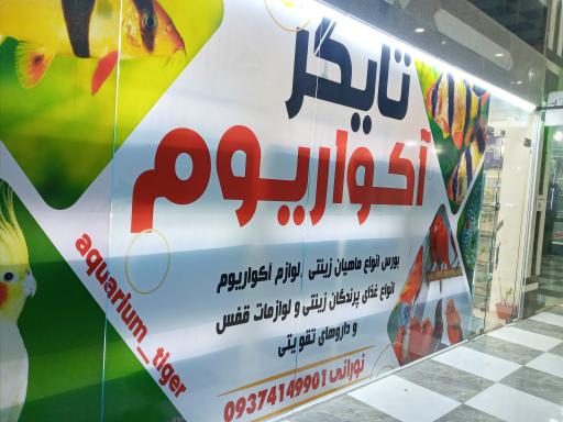 آکواریوم تایگر