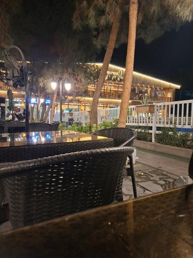 عکس فست فود روناک