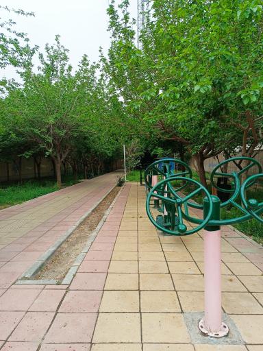 عکس بوستان سایه ها