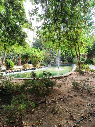 عکس بوستان سایه ها