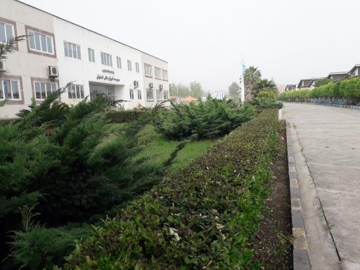 دانشگاه کاوش