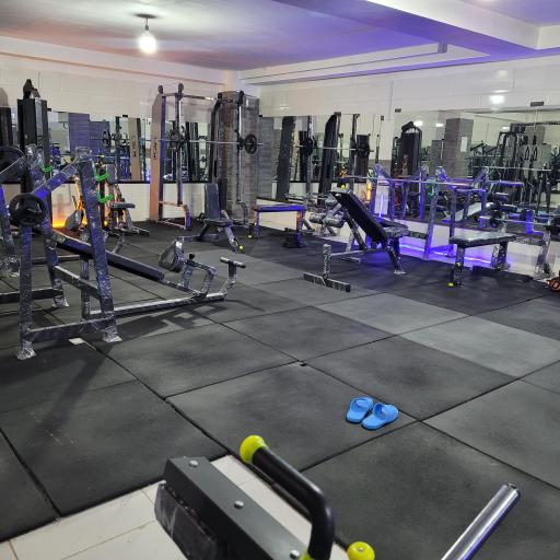 عکس باشگاه بدنسازی پالادیوم (ویژه آقایان)