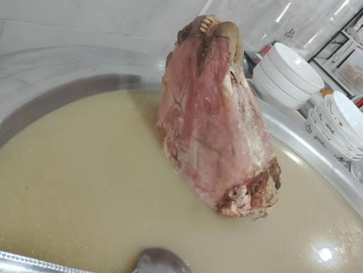 عکس طباخی قوچ طلایی