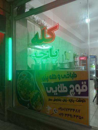 عکس طباخی قوچ طلایی