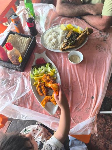 عکس غذای دریایی تنگ غروب