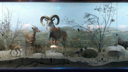 عکس موزه محیط زیست قوچان