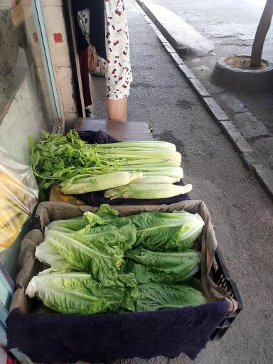 عکس میوه فروشی برادران حاجی حیدری