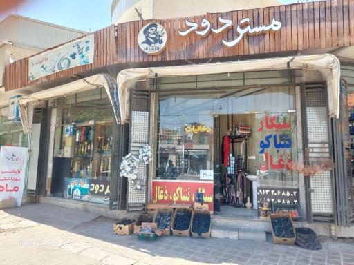 عکس مستر دود