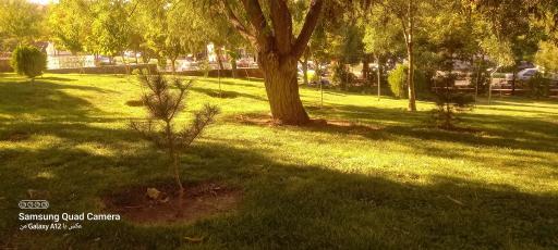 پارک پروین اعتصامی