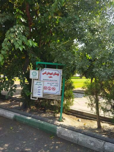 عکس بوستان شهیدان قمی(اقاقیا)