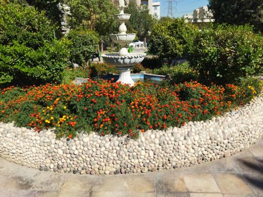 عکس بوستان شهیدان قمی(اقاقیا)