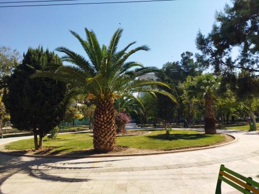 عکس بوستان شهیدان قمی(اقاقیا)