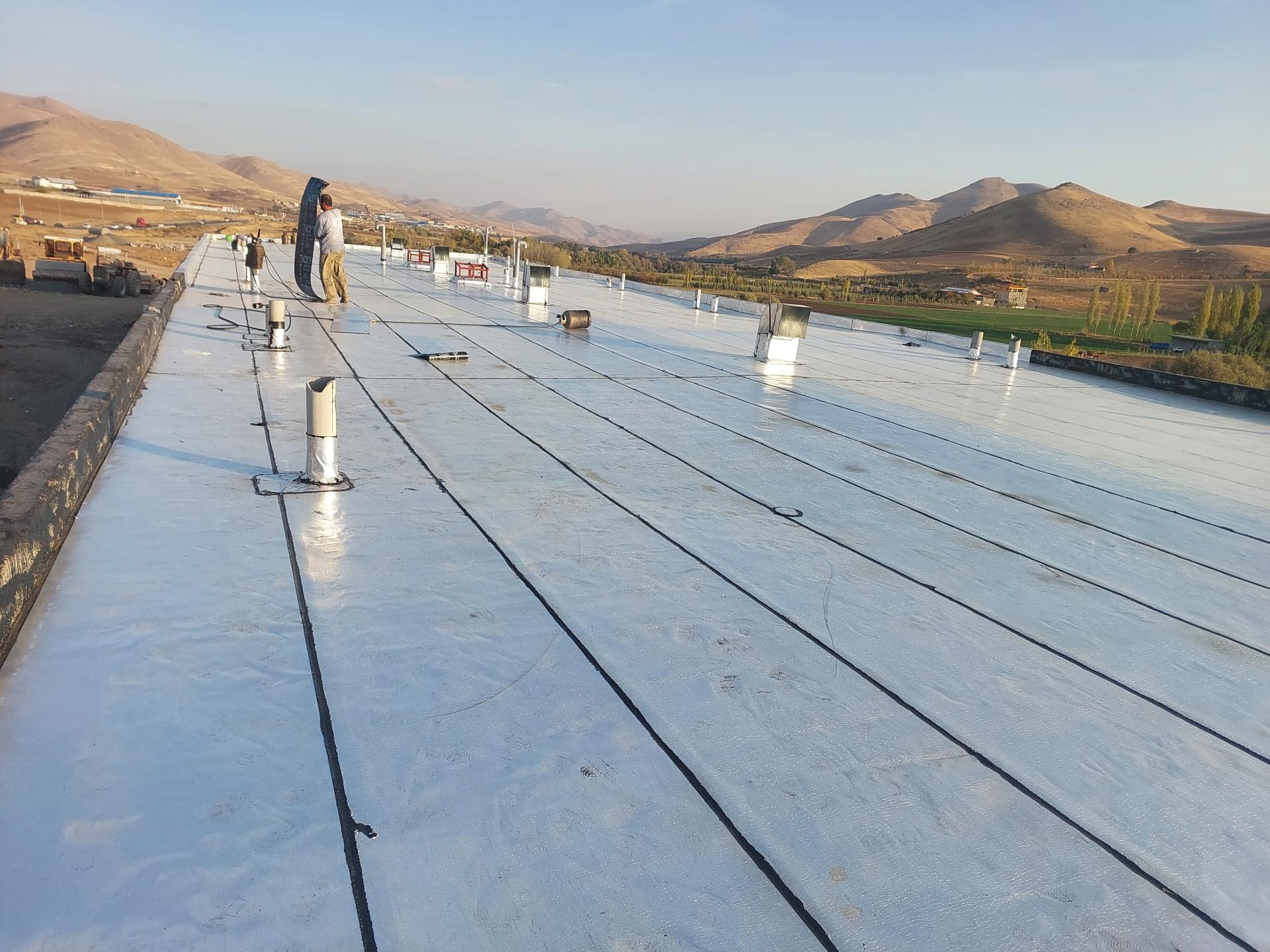 عکس ایزوگام محمدیان