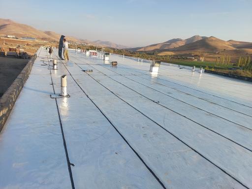 عکس ایزوگام محمدیان