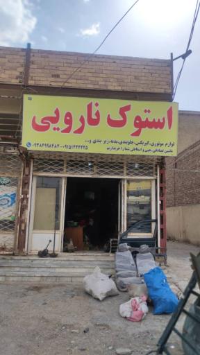 عکس استوک نارویی