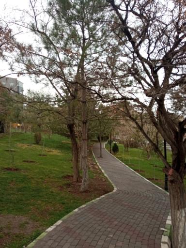 پارک پروین اعتصامی