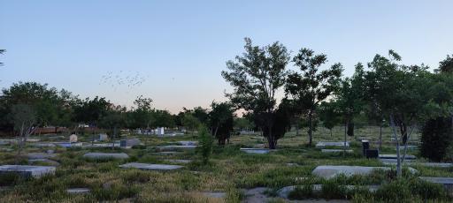 عکس آرامستان سیس آباد