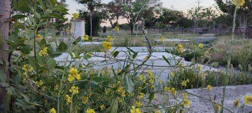 عکس آرامستان سیس آباد