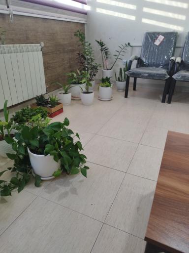 عکس مطب دکتر زهره طاهری