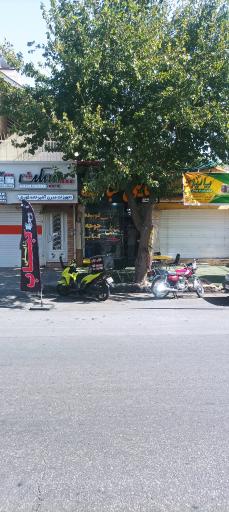 عکس شایلی کباب 