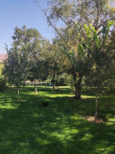 عکس پارک پروین اعتصامی