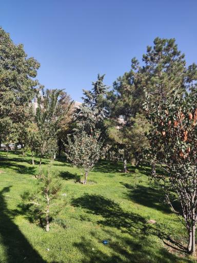 عکس پارک پروین اعتصامی