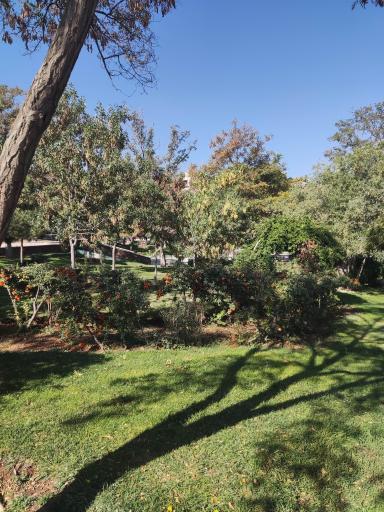 عکس پارک پروین اعتصامی