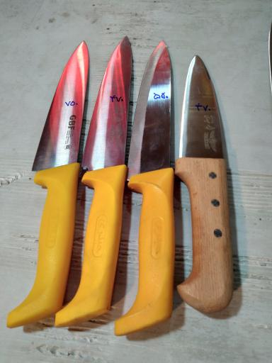 عکس چاقوسازی رخش